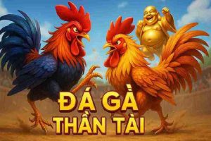 Đá gà thần tài 77WIN9 - Trải Nghiệm Game Hấp Dẫn